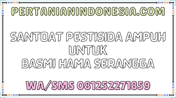 Santoat Pestisida Ampuh Untuk Basmi Hama Serangga